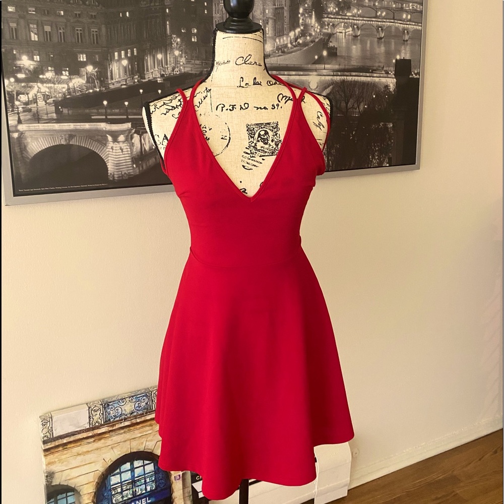 Sexy Lady in Red Dress